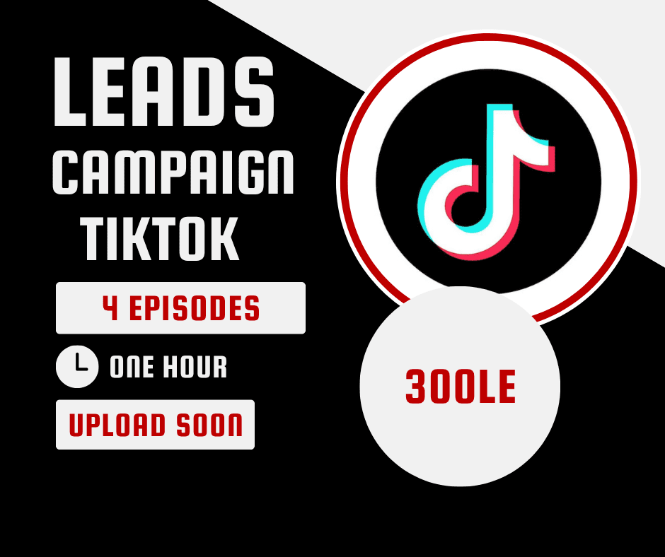 Leads Campaign TikTok